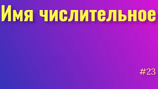 Имя числительное. Количественные и порядковые числительные. Склонение числительных. Русский язык.