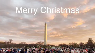 National Christmas Tree Lighting | Washington, D.C.