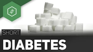 Diabetes mellitus – Die Zuckerkrankheit