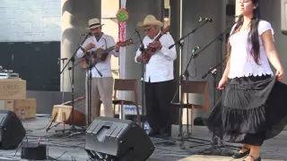 "Siquisirí" Los Vega, son jarocho