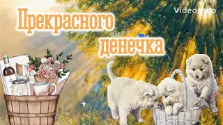 Доброе утречко! Хорошего денёчка! Прекрасного настроения на весь день! Музыкальная открытка!