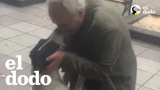 Un reencuentro tres años después de que este perro se había perdido