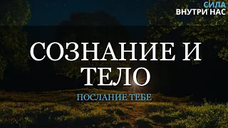 Если мы - сознание, что что происходит с телом