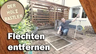 So entfernst du Flechten von Terrasse und Gehweg - Flechtex vs. Hausmittel