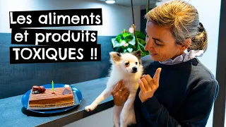 Les aliments et produits TOXIQUES ! #toxique #intoxication #chien #chat 🐶 🐱