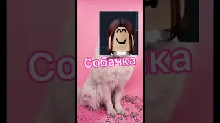 Хей детка я теперь брюнетка👩🏽‍💼😂💖