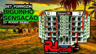 SET FORROZIN - BIGUINHO SENSAÇÃO -FEVEREIRO 2024 - PRA BATER NO PAREDÃO ( By RJ CDs - DJ ROGER REMIX