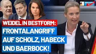 Alice Weidel rechnet mit den Deutschland-Hassern von der Regierung ab! - AfD-Fraktion im Bundestag