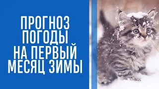Морозы, снегопады и нетипичные потепления. Синоптики дали прогноз погоды в Украине на декабрь