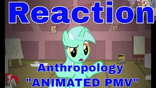 Reaction Anthropology "ANIMATED PMV"