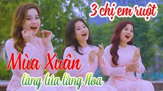 Mùa Xuân Làng Lúa Làng Hoa - 3 Chị em ruột hát CỰC HAY - Hương Ly Sao Mai, Hồng Lụa, Hồng Nhung