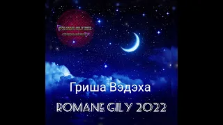 Гриша Вэдэха - Ты была так рада 2022