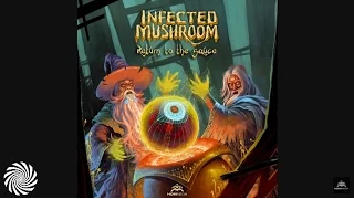 Infected Mushroom - Return to the Sauce (Continuous Mix)