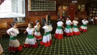 Mexican dance performance (La Raspa 12/06/2014)