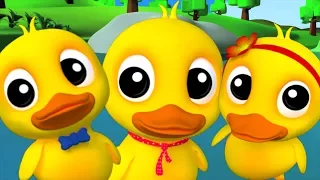 Cinco patos pequenos | rimas de berçário para crianças | Kids Songs | Five Little Ducks Going Out