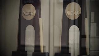 Florida Gymnastics: 2015 Season Hype