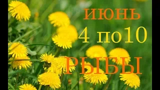 РЫБЫ. ТАРО-ПРОГНОЗ и АНАЛИЗ НЕДЕЛИ с 4 по 10 ИЮНЯ.