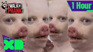 1 Hour of Pig Man | Walk the Prank | Compilation | @disneyxd
