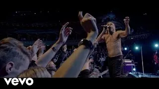 Iggy Pop - Gardenia (Live At The Royal Albert Hall)