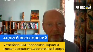 АНДРІЙ ВЕСЕЛОВСЬКИЙ: 7 вимог Євросоюзу Україна може виконати досить швидко