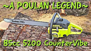 85cc Poulan 5200 CounterVibe with 34" B&C Cutting BIG WOOD!!!!!! 3400 3700 4000 4200 5400