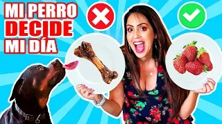 MI PERRO DECIDE MI DÍA 😱 Ropa, Comida, Juegos OMG 😅Reto Sandra Cires Art