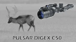 Review Pulsar Digex C50 | Night and Day RifleScope