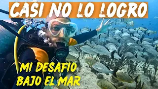 Si QUIERES BUCEAR por PRIMERA VEZ tienes que VER ESTE VIDEO! Mi experiencia BUCEANDO en el CARIBE!