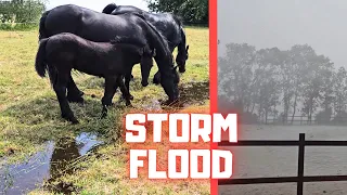 Summer storm. Lots of water and a thunderstorm is coming | Friesian Horses