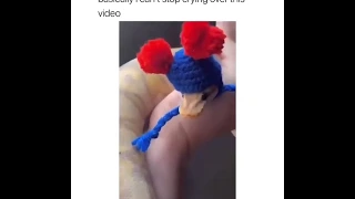 Snake wearing hats meme -  TikTok