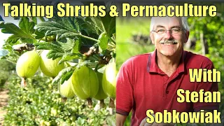 MGP 122: Talking Shrubs and Permaculture with Stefan Sobkowiak