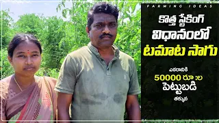 Tomato Cultivation In New Stacking Method|Tamata Sagu In Telugu|కొత్త స్టేకింగ్ పద్దతిలో టమాట సాగు.