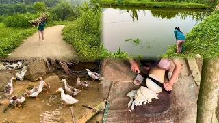 The poor girl went to the forest to collect firewood and grass for fish, her daily work.