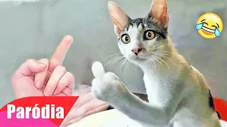 VIDEOS ENGRAÇADOS DE ANIMAIS - TENTE NÃO RIR (COMPILADO DE COMÉDIA)