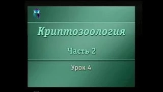 Криптозоология. Урок 2.4. Ужасные вампиры и хищники Нового Света