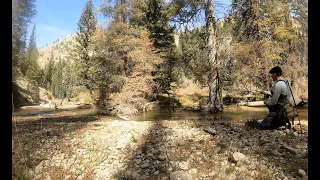 Fly Fishing one of Utah's Best Creeks