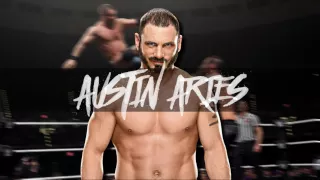 WWE: "Ambition and Vision" ► Austin Aries Theme Song