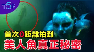 震撼！揭開所有美人魚的秘密！終於知道美人魚是胎生還是卵生的?！