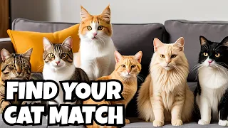 Finding the Perfect Cat Breed for You 🐱❤️