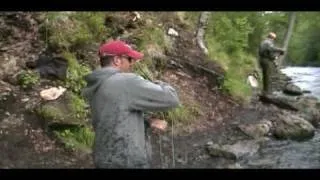 Fishing with Bears on Russian River