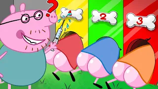 Daddy Pig Sad Love Story | Peppa Pig Funny Animation