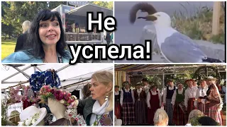 Чайка Съела Белку 🐿️ Вернулась на Ярмарку за Доской 🌹Ruta Vlog 🇱🇻Латвия @HozajushkaRuta