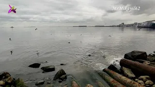 Уровень Каспия сильно понизился. Каспийское море на грани экологической катастрофы. 25.11.21. Баку