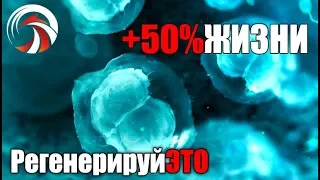 Plug-In +50% к Жизни. Как Перезагрузить Стволовые Клетки.