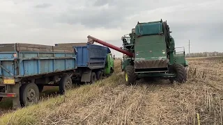 Нічого не встигаємо, сіємо пшеницю, молотимо соняшник, це шок.