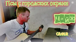 Кавер / Чайф / Псы с городских окраин