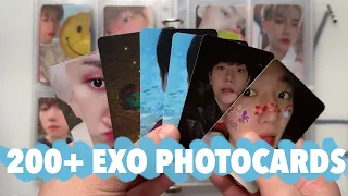 organizing my 200+ exo photocards for fourty-four minutes | cindy's 2024 pc collection #1