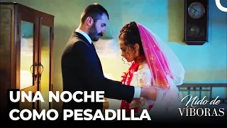 ¡Elvan Fue Casada Con Fuerza! - Nido De Víboras