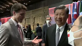 Chinese President Xi confronts Justin Trudeau over G20 talks being 'leaked' to the press