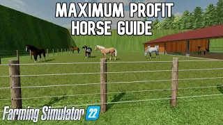 Maximum Profit Horse Guide Farming Simulator 22